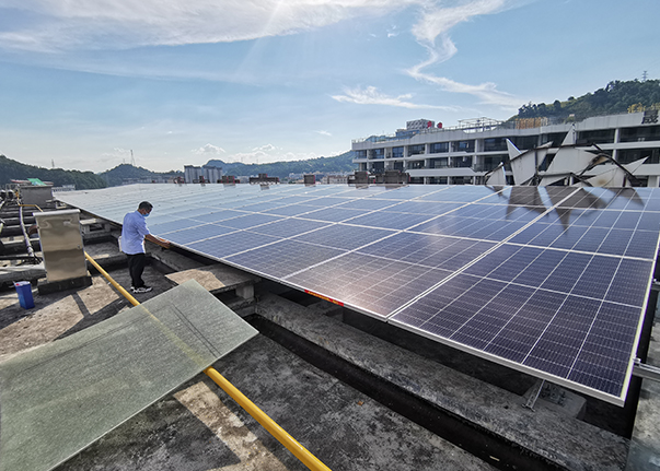 草莓视频APP在线观看