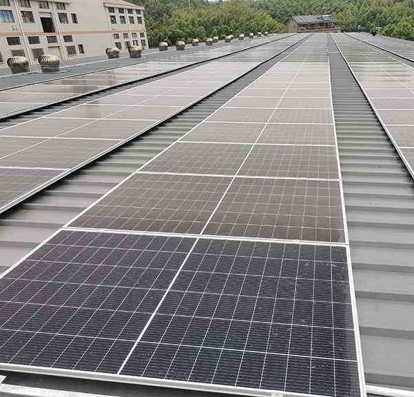 草莓视频APP下载黄色• 企业优势